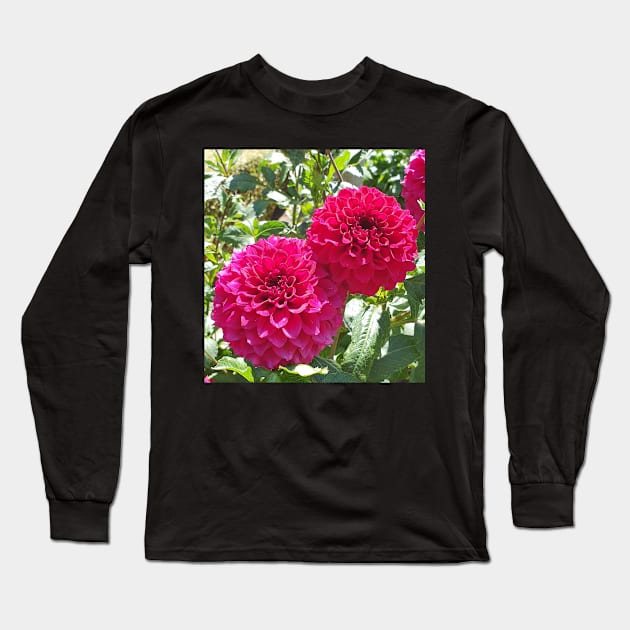 Hot Pink Dahlias Long Sleeve T-Shirt by claire-l-page